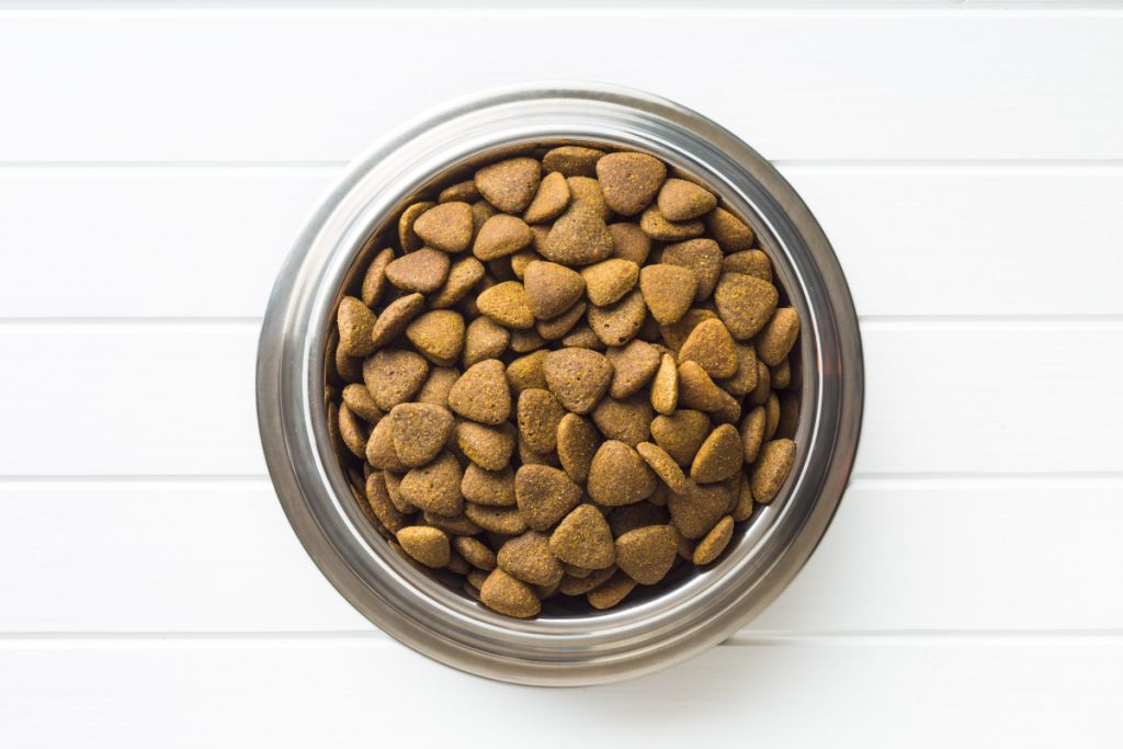 bowl of kibble fillers in dog food