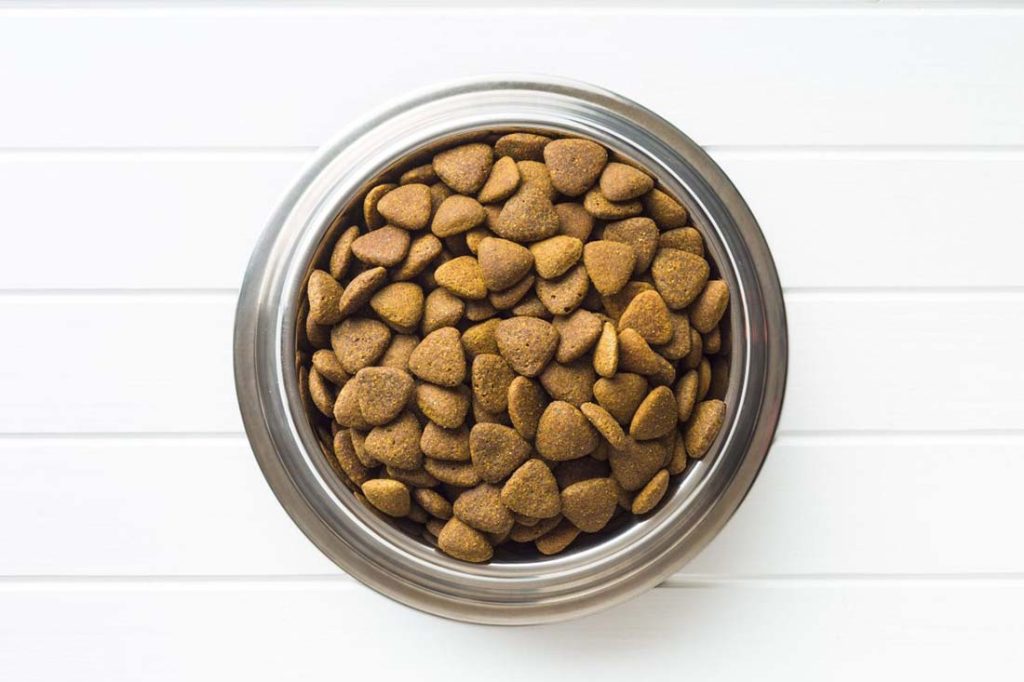 bowl of kibble fillers in dog food