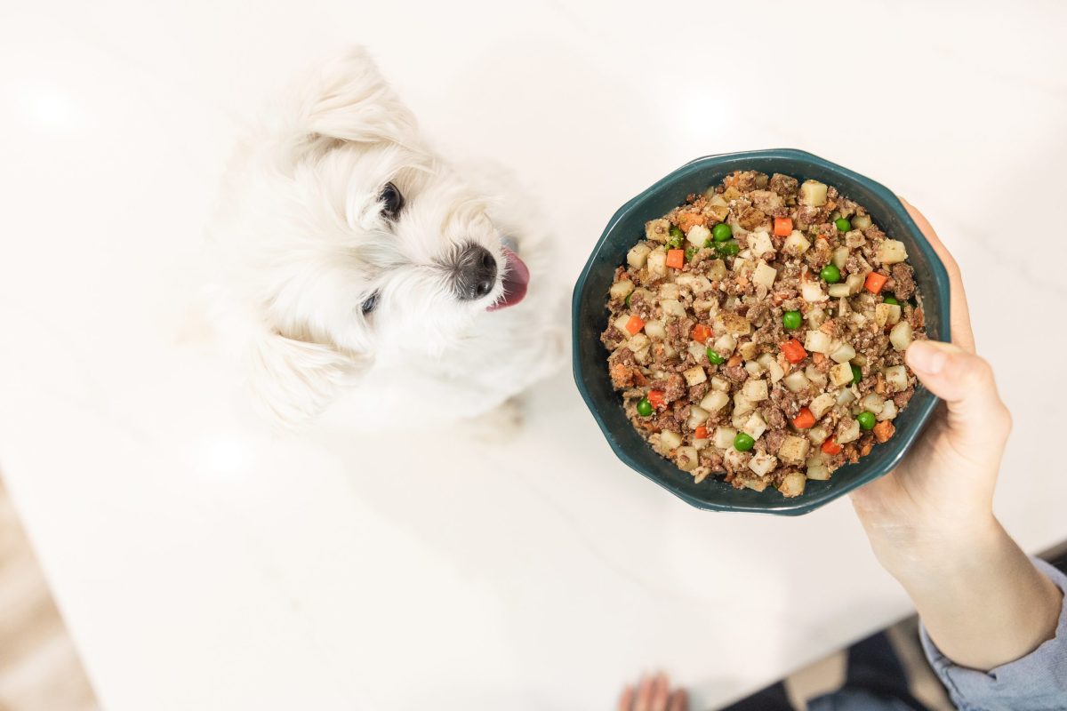 How Much Dry Food Should I Feed My Dog Calculator: Optimal Portion Control