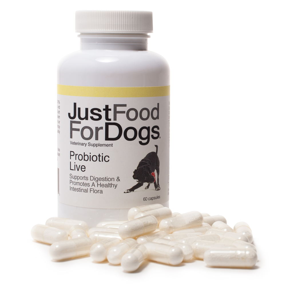 bottle of probiotics for dogs