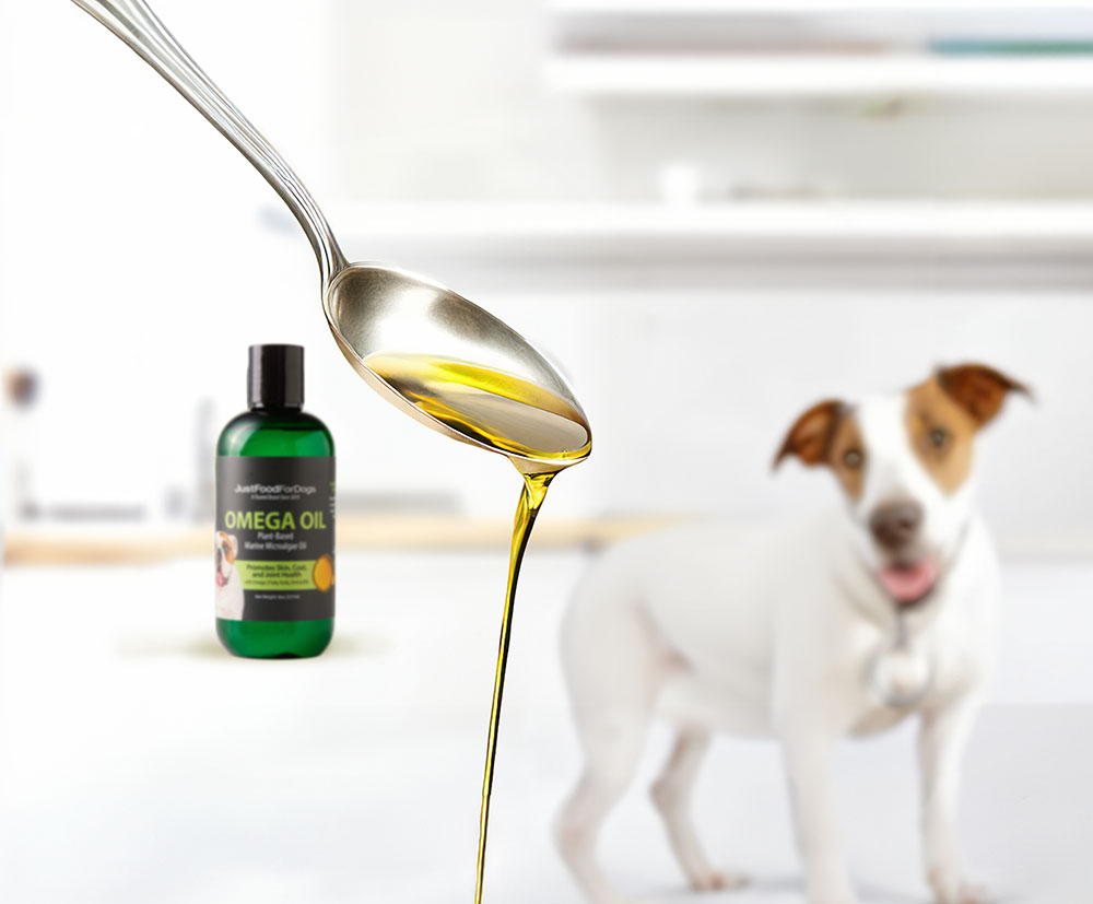omega oil for dogs