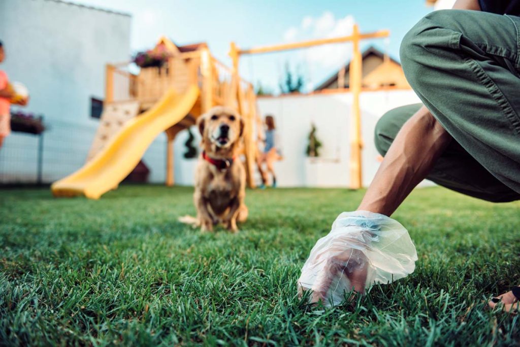 is it ok to leave dog poop in yard