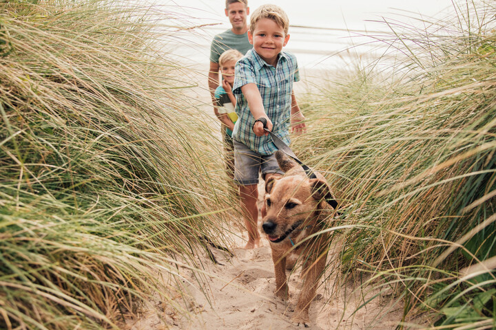 how to exercise your dog. dog and children on beach.