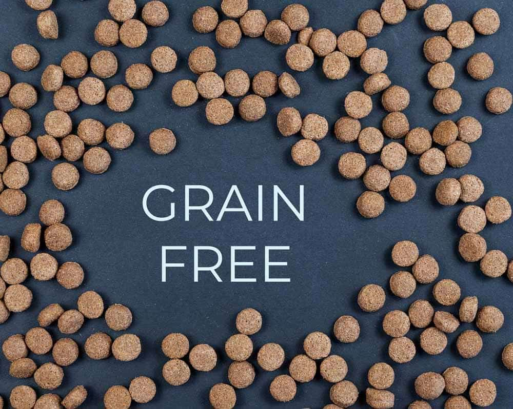 Grain free dog food problem best sale