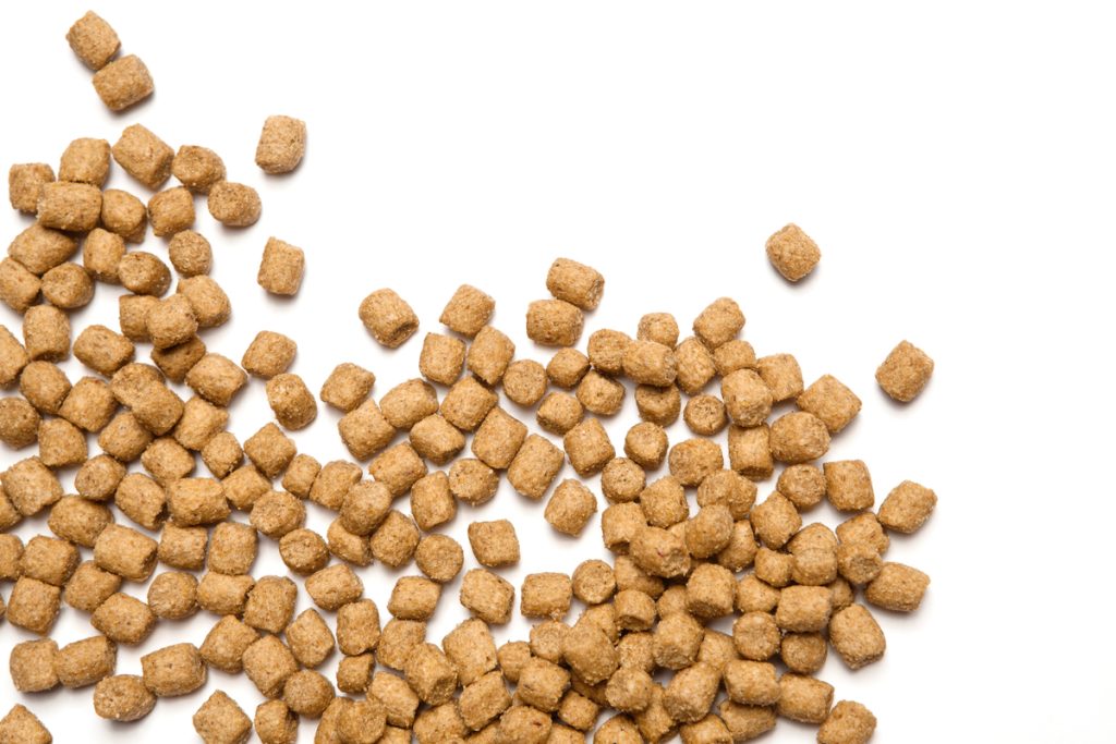dry commercial kibble. ethoxyquin in dog food