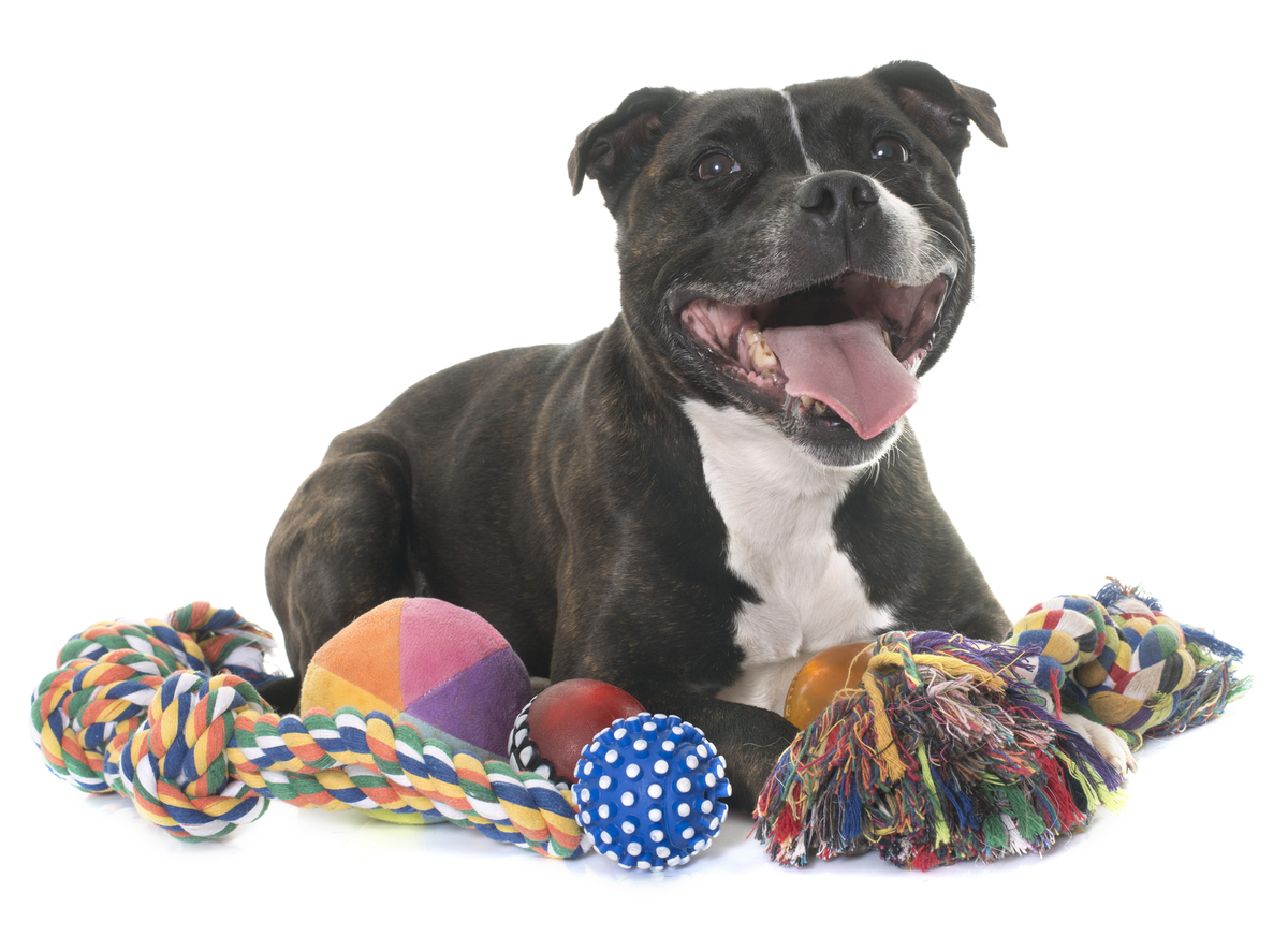 The Real Truth About AAFCO Feeding Trials