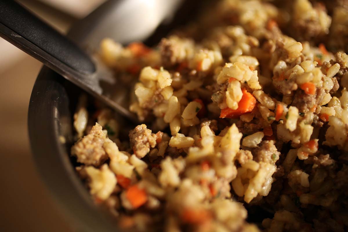 Recipe: Homemade Dog Food With Ground Beef