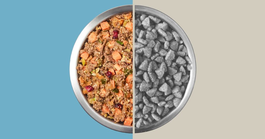 Fresh Dog Food vs Kibble The Fundamental Differences