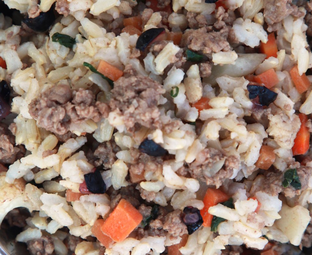 lamb and brown rice dog food