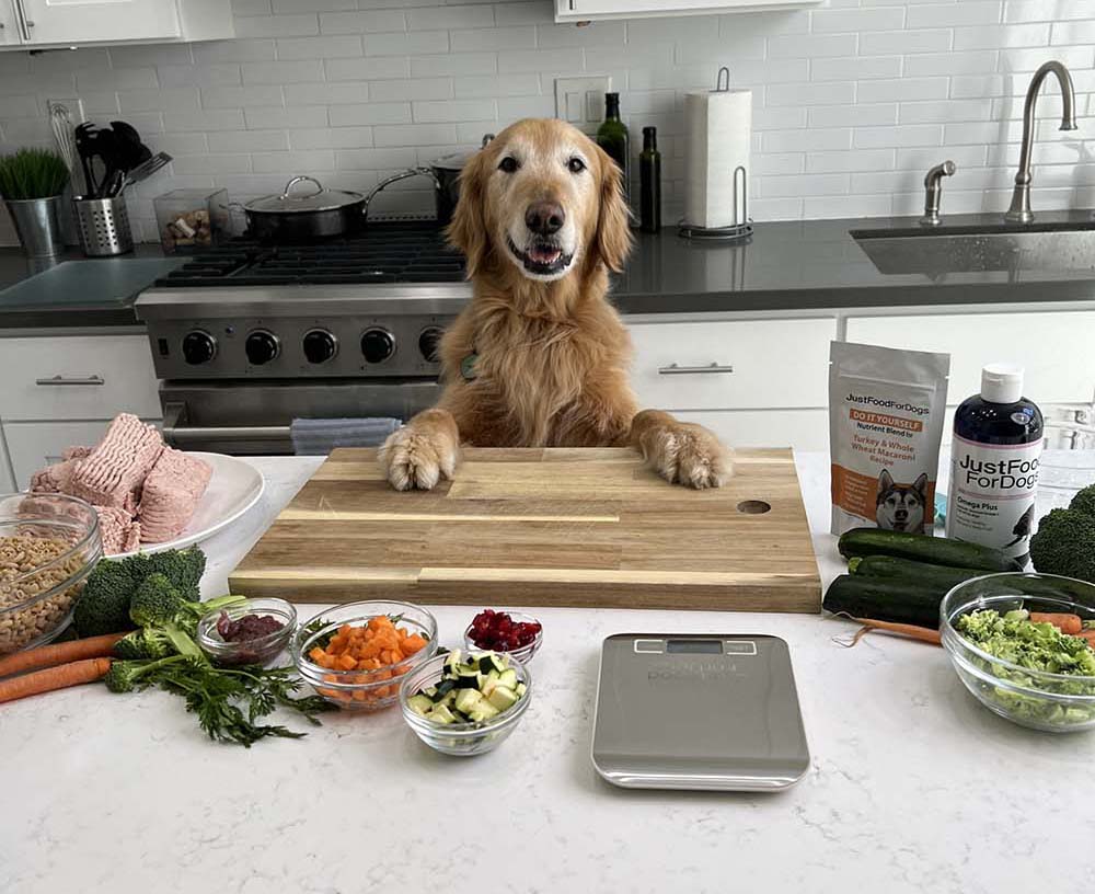 DIY Dog Meal Prep Hacks