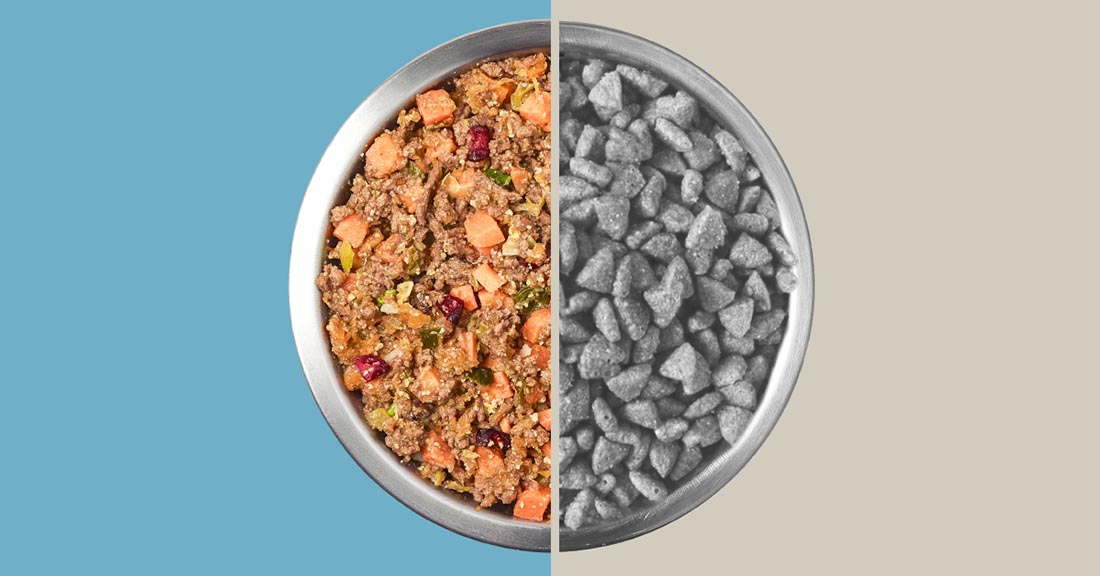 kibble vs fresh dog food