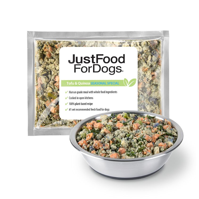 fresh vegan dog food in a silver bowl