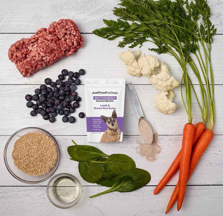 Dog Supplements for Homemade Food A Guide