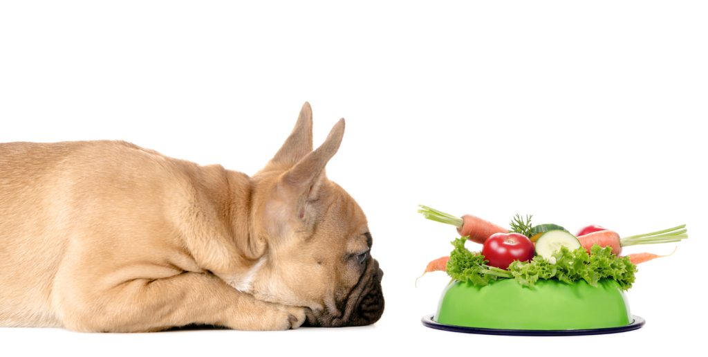 french bulldog next to bowl of vegan dog food