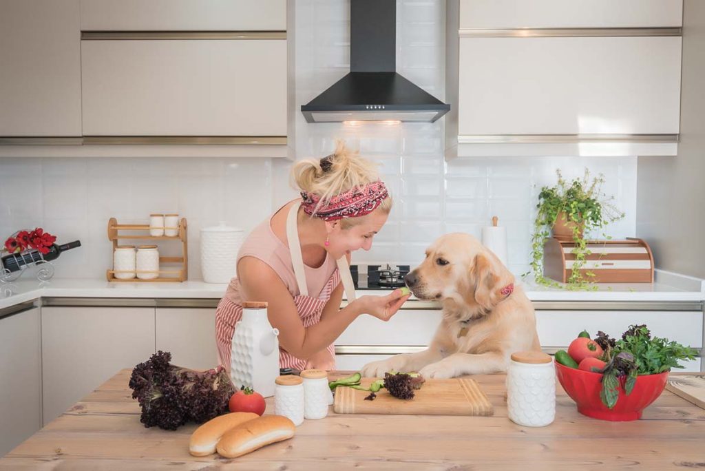nutritionally complete homemade dog food recipes
