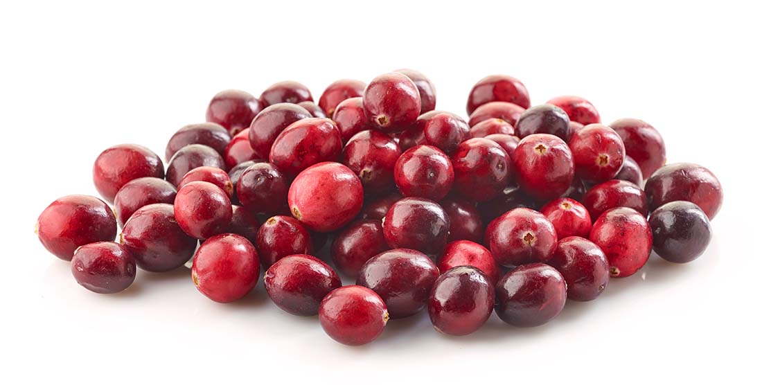 Can Dogs Have Cranberries? 