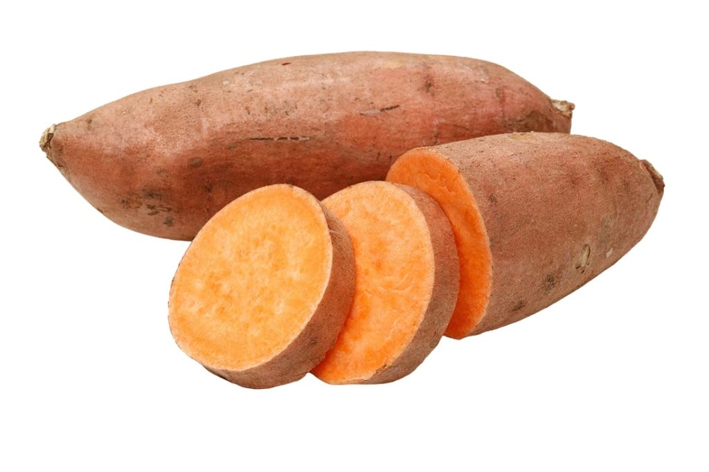 can dogs eat sweet potatoes