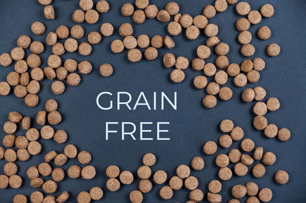grain free dog food heart disease