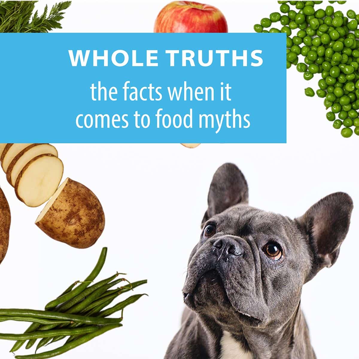 dog food myths