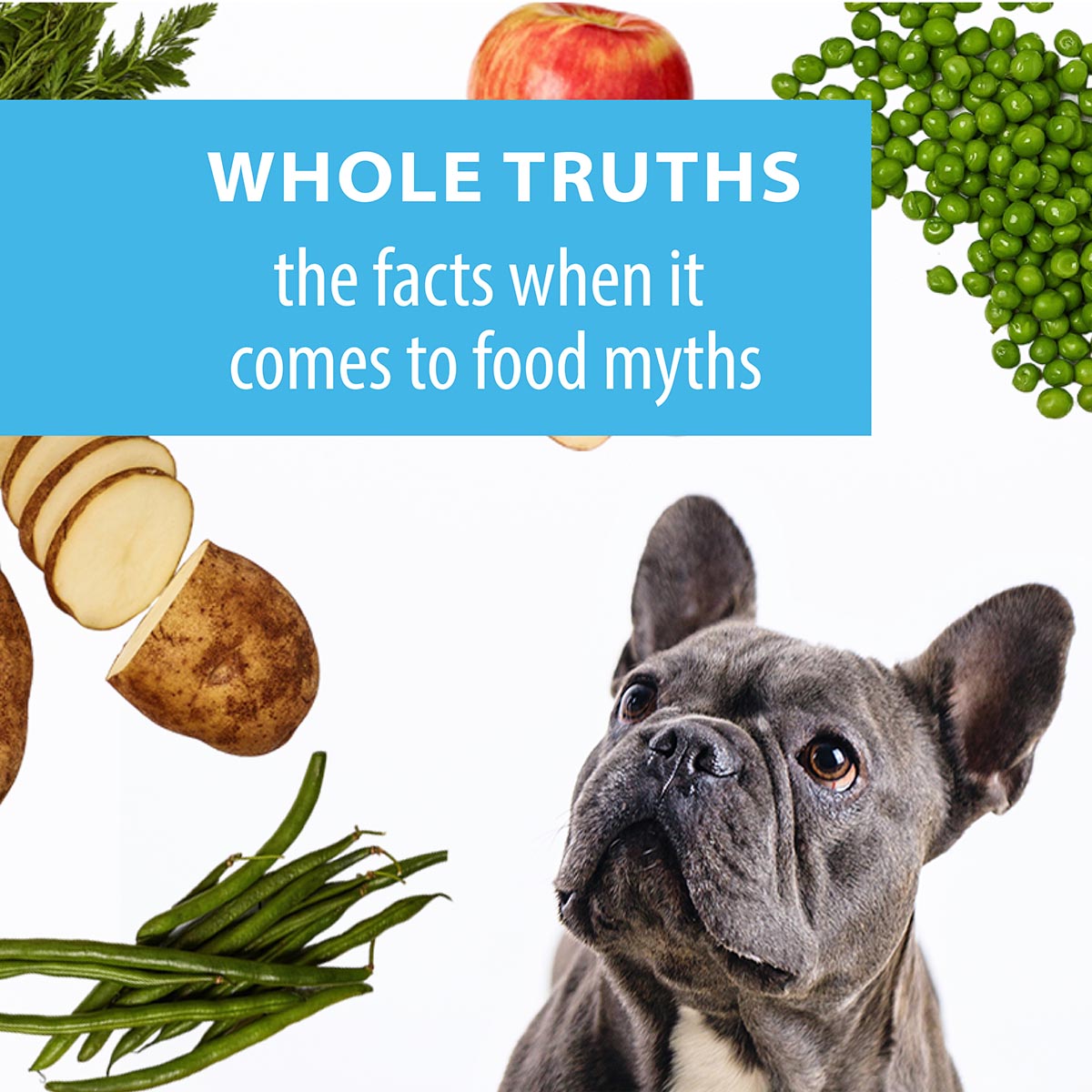 10 Surprising Dog Food Myths Pushed by the Industry