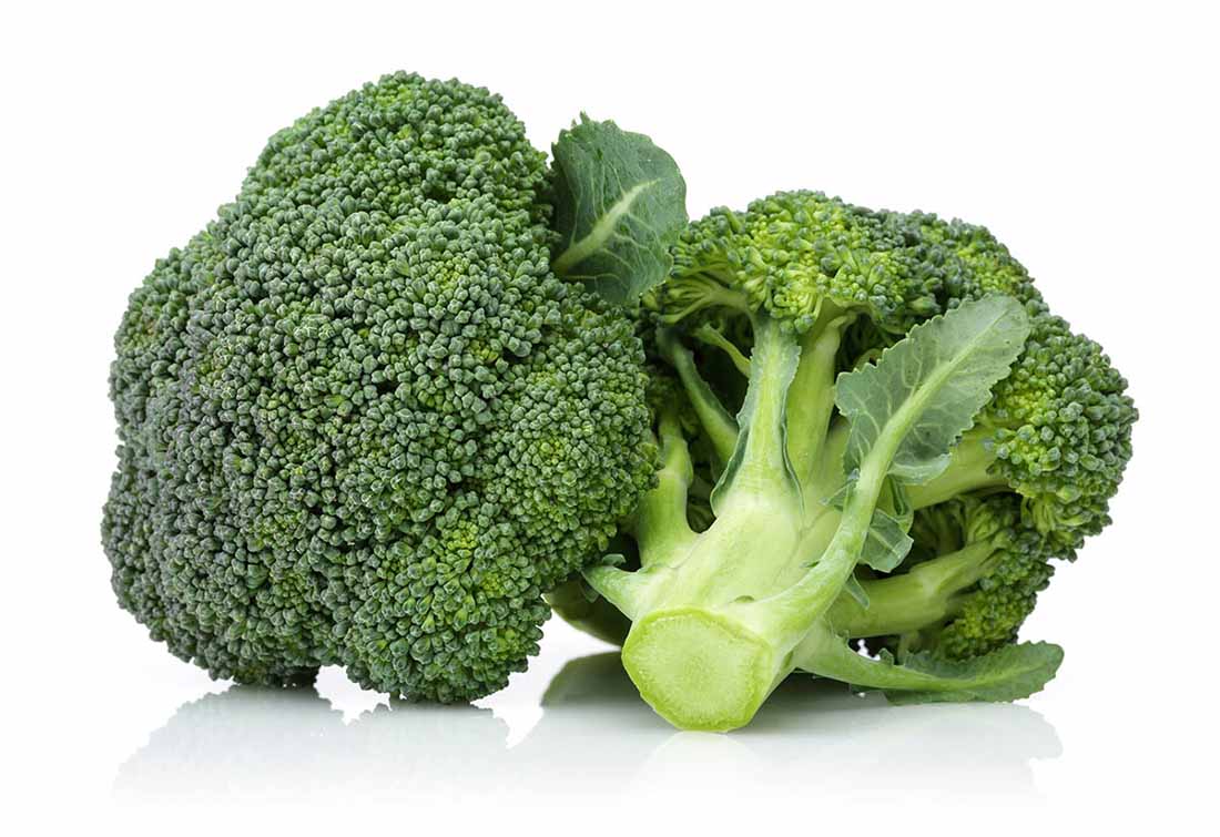Is Broccoli Good For Dogs? You Bet It Is!