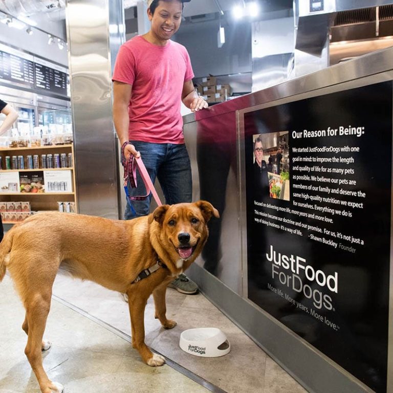 Adhering to WSAVA Guidelines