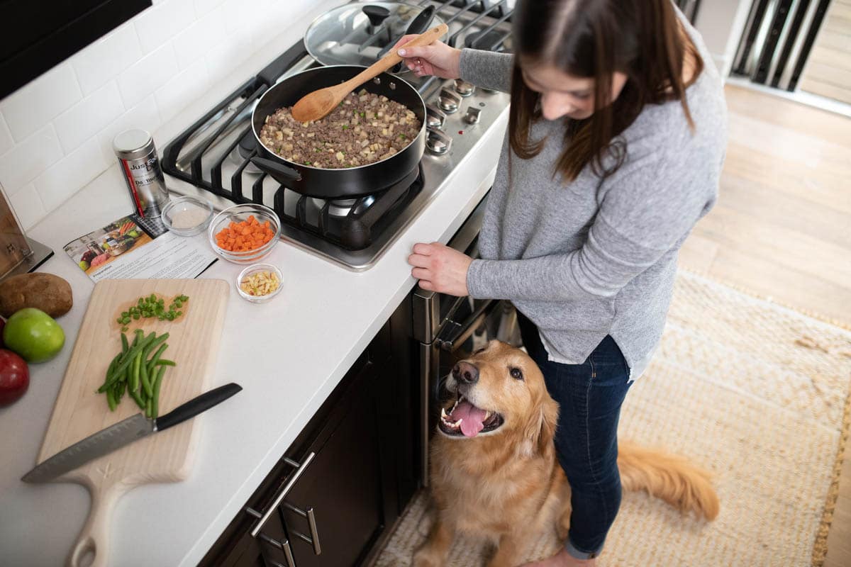 how do you make homemade dog food