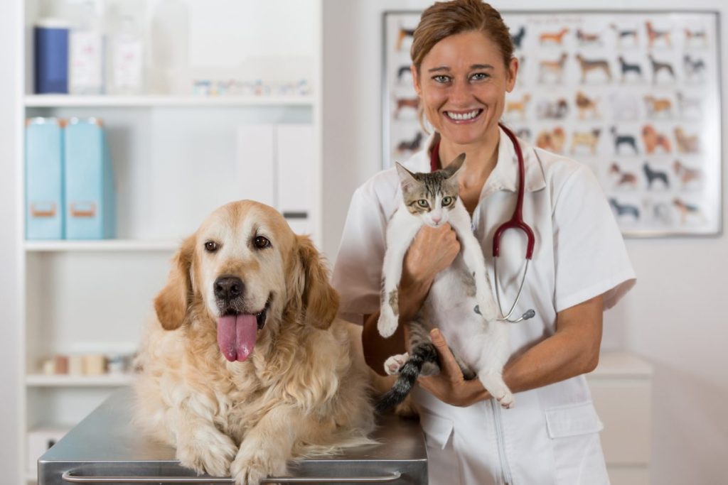 veterinarian with dog and cat