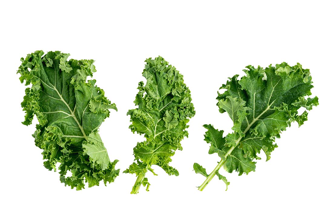 Is Kale Safe for Dogs?