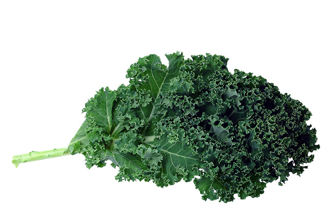 Is kale bad for dogs best sale