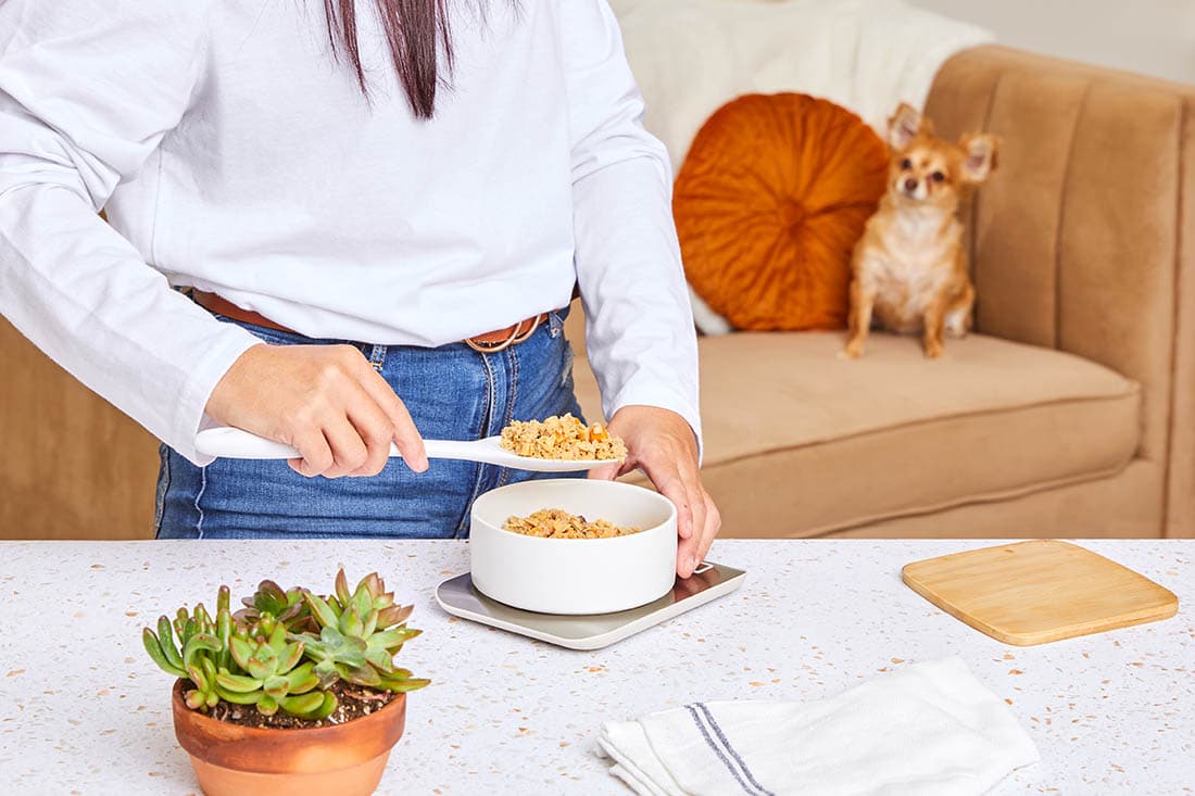 Portion Perfect: How Much Should I Feed My Dog?