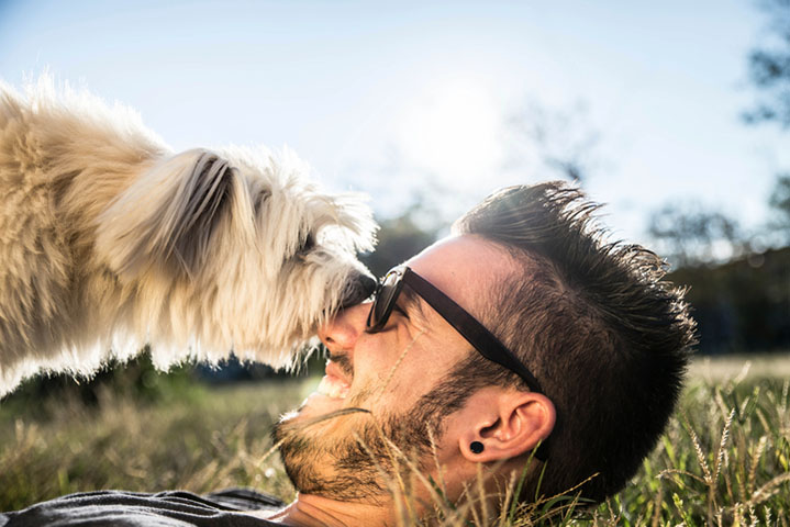 dog kissing his human