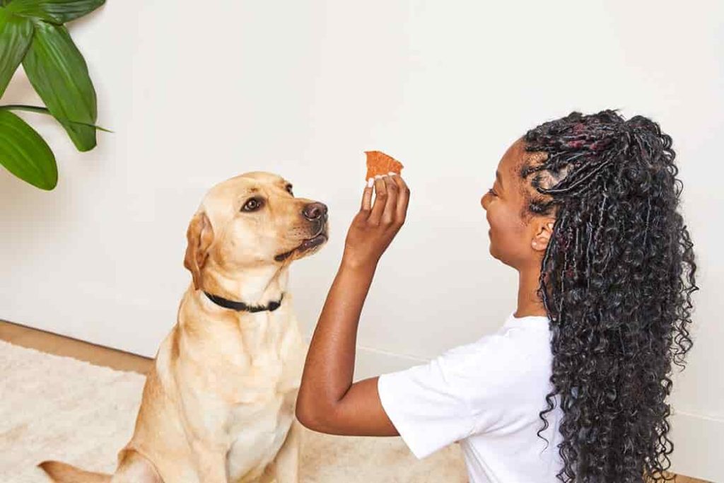 a girl giving her dog a treat