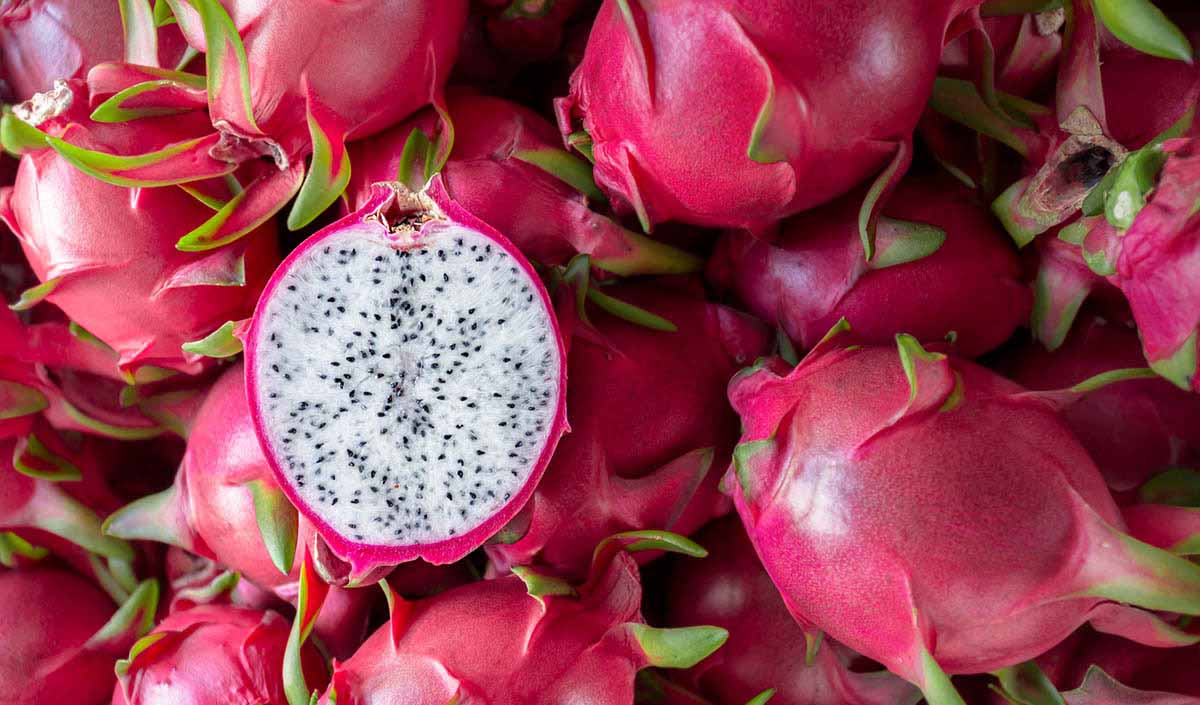 Is dragon fruit bad for dogs hotsell