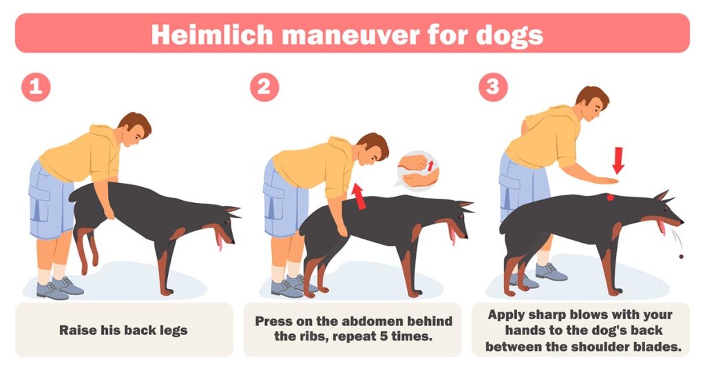 dog heimlich maneuver