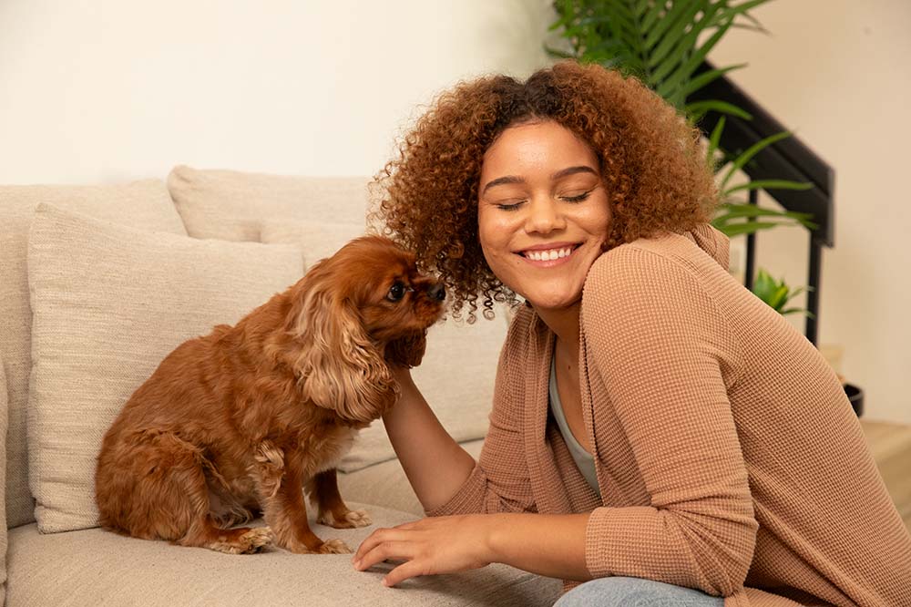 little brown dog giving his human a kiss