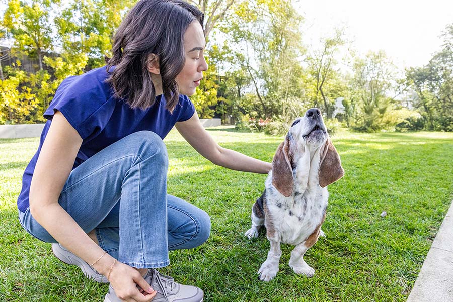 basset hound howling with human